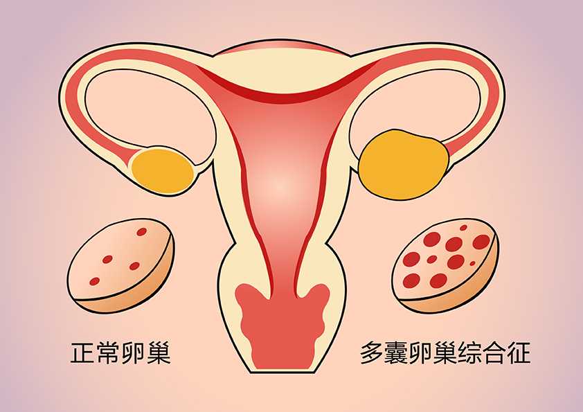 上海试管助孕医生，上海哪个医院试管做得好？