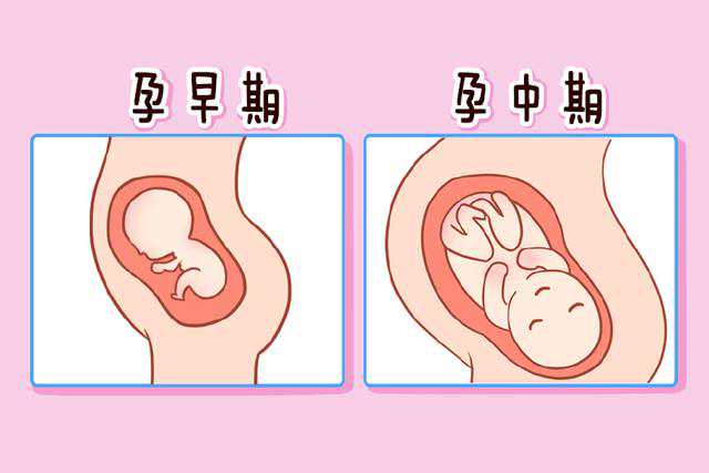 内蒙感恩助孕机构，上海仁济医院试管婴儿医生名单，2024助孕成功率高的大夫