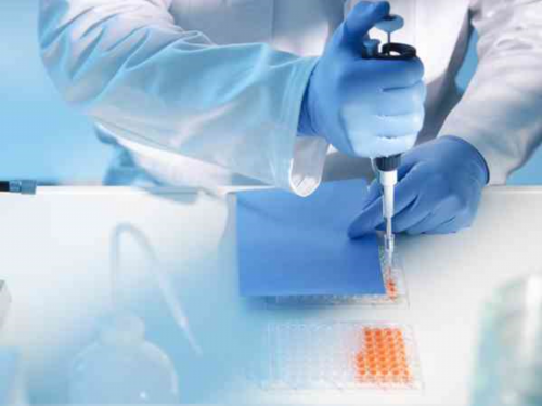 子宫肌瘤:对女性生育能力的影响及应对策略