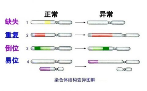 揭秘男性健康：性功能障碍的深层原因与应对策略