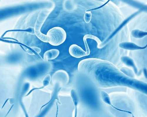 输卵管堵塞做试管婴儿成功率如何？