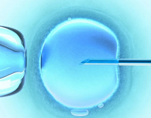 内蒙招聘助孕妈妈，上海长征医院试管婴儿医生名单，2026助孕成功率高的大夫