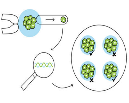 调理子宫肥大症的食疗妙方