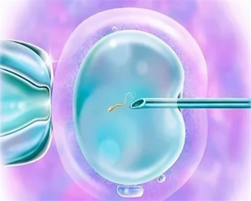 HPV疫苗接种与备孕时机：了解何时可以安全怀孕