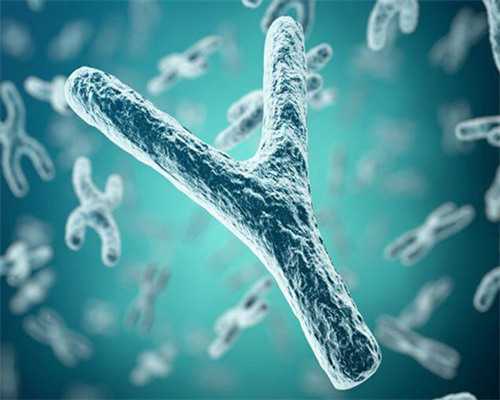 上海国际和平妇幼保健院三代试管助孕费用全解析：代生与代怀方案预算