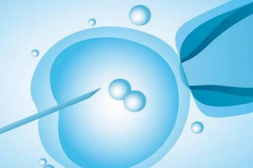 卵巢不孕症可以借卵供卵试管孕生子吗？