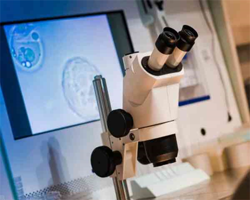 精英宝贝助孕：解析月经推迟与怀孕的差异及辨别方法