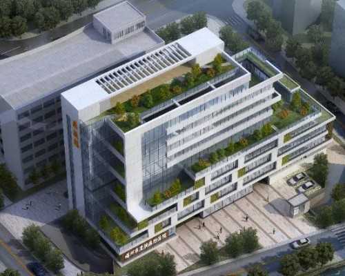 上海第三代试管医院排名前十的有哪些医生