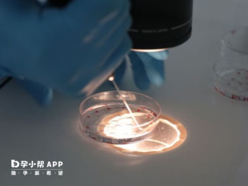 名单揭晓苏州最新供卵试管三代生男助孕机构！附苏州各院详细的技术支持