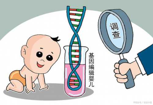 上海代生孩子价格，上海代生全包价,上海试管婴儿成功率排名榜,上海试管成功