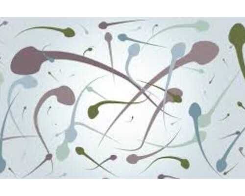 试管代孕的流程,子宫内膜息肉能做试管吗？是否需求先切除？，最终查看出来