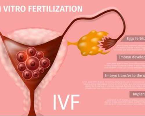 选择试管助孕的最佳时机：聚焦精子与卵子发育的黄金年龄