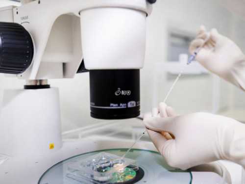 <b>揭秘宫外孕的早期信号：停经、腹痛与异常出血</b>