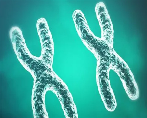 探讨不同年龄段进行供卵试管婴儿的适宜性