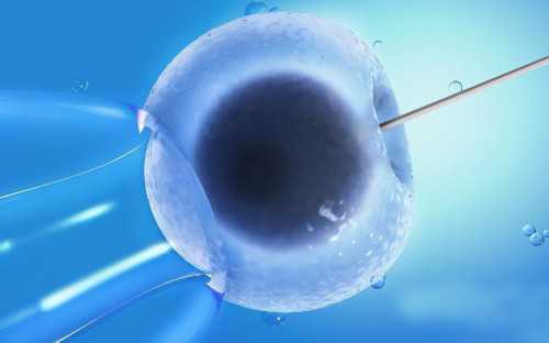 警惕子宫内膜异位症，供卵试管供卵试管孕