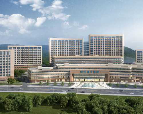 上海三代试管婴儿生孩子需要多少费用！上海三代试管大概费用！