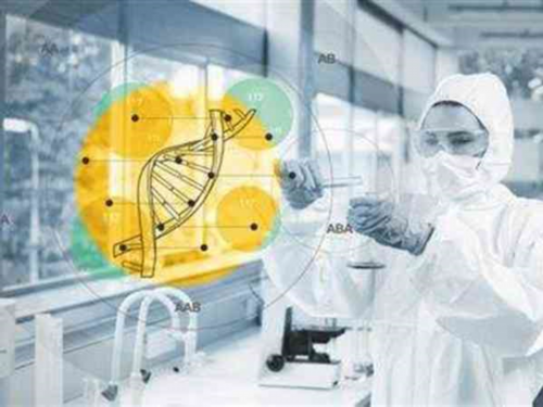 南京地区辅助生殖技术优选指南：权威医院与专业服务