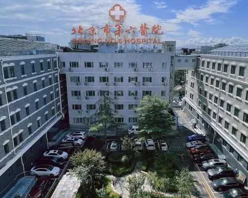 解析试管囊胚培育成功率与影响因素