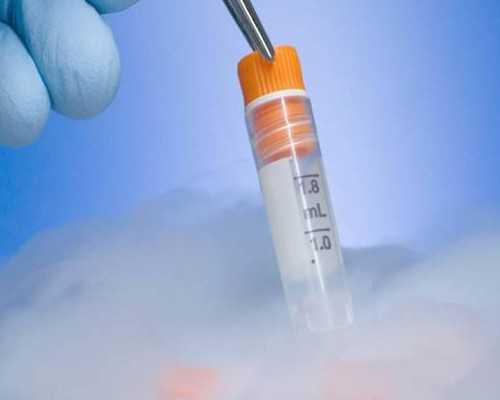 孕期前三个月饮食大放送：食物选购有技巧