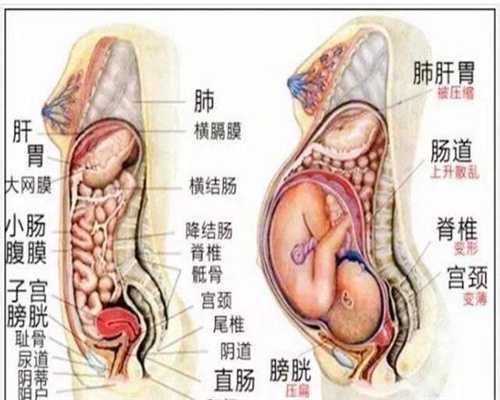 武汉华英代孕：胆大代孕妇的13个级别：一般人只
