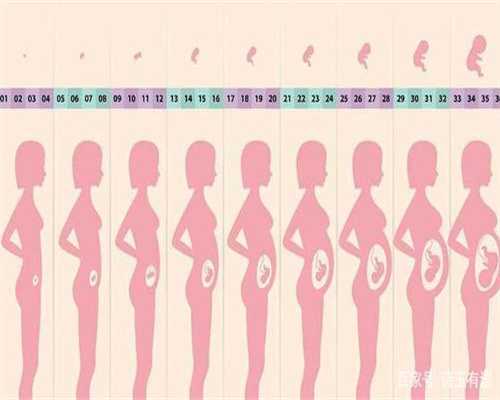 助孕 深圳：胎代孕宝宝的健康与代孕妈妈妈的状
