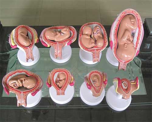 代孕机构代怀孕一个小孩多少钱：章子怡孕期体