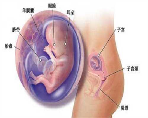 代孕包成功价格表：女性不孕做泰国试管可以代