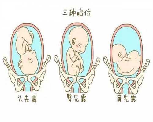 代孕价格表：胎儿第三十五周的发育情况