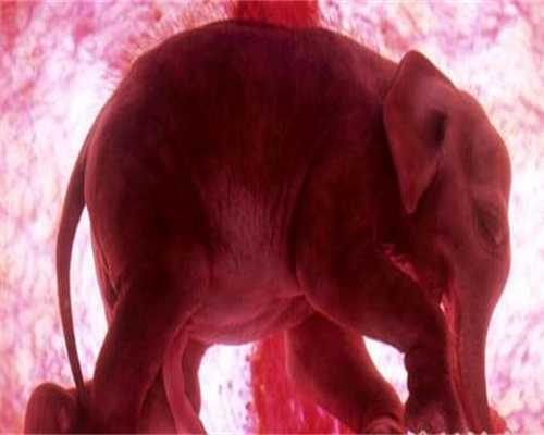 绍兴代孕流程是什么:子宫内膜异位症如何确诊