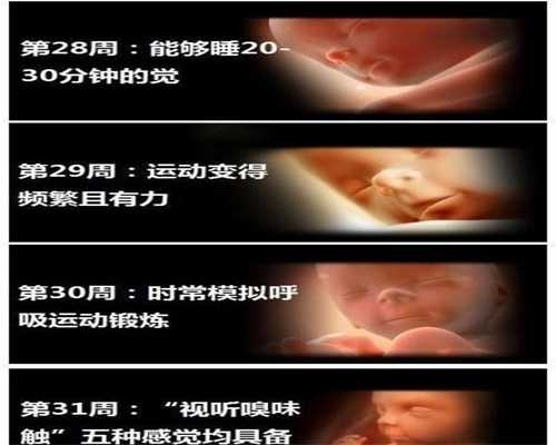 中国最好的代孕公司:怎么样预防少精症不育效果