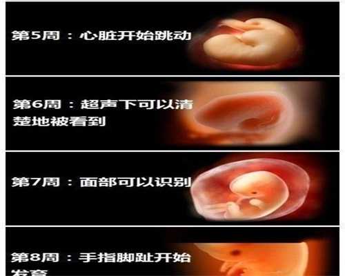 中国最好的代孕公司:怎么样预防少精症不育效果