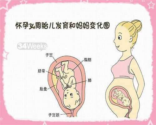 绍兴正规代孕机构:孕妇可以吃鸽子蛋吗？怀孕吃