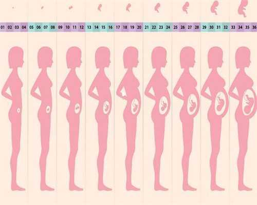 绍兴代孕产子价格:多囊卵巢综合症应该怎么进行