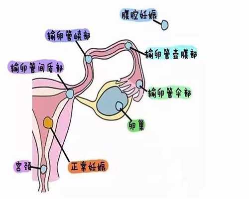 广州助孕生子,广州助孕生殖中心是哪个，真能帮助生孩子吗？_广州助孕网