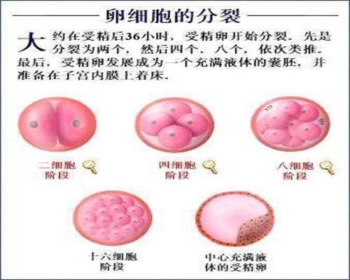 上海代生公司孕妈招聘，做三代试管吃的促排药会影响到卵子的质量吗？
