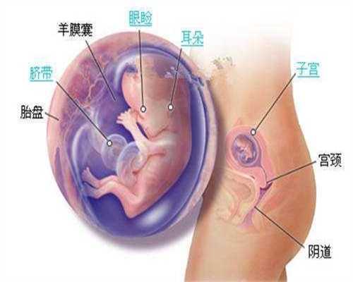 上海代生的费用，试管婴儿怀上后医生建议减胎是怎么回事？