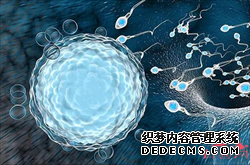 上海供卵试管儿，泰国试管婴儿基因筛查费用高低受哪些因素影响?
