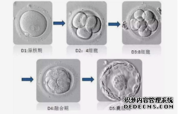 上海供卵机构排名~上海供卵三代试管~哪里有上海专业供卵试管医院，总结生男
