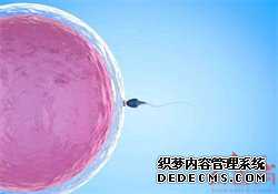 第三代试管婴儿就医指南之上海仁济医院
